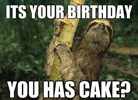 ultimate funny happy birthday memes birthday wishes