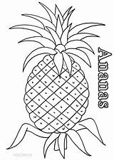 Ananas Pineapples Ausmalbild Cool2bkids Kostenlos Ausmalbilder Ausdrucken Malvorlagen sketch template