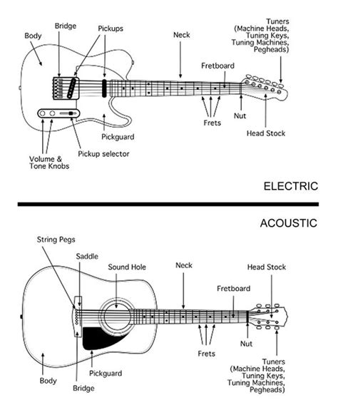 guitar parts names diagram wiring service