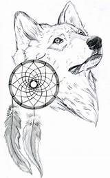 Catcher Loup Dreamcatcher Lobo Ulve Tegninger Catchers Lobos Loups Native Estampas Dyr Faciles Becuo sketch template