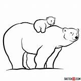 Bear Polar Baby Draw Mom Back Her Drawing Easy Animals Wild Sketchok sketch template