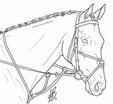 Dressage Tack Lineart Colouring sketch template