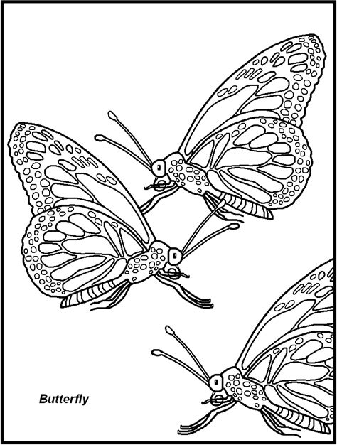 insect images  kids coloring home