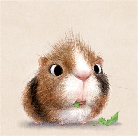 des illustrations danimaux trop cute par sydney hanson aviatstudioscom