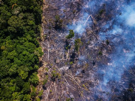 amazon fires   horrifying science  deforestation wired