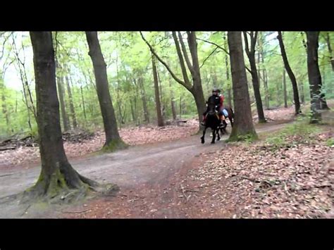 paardrijden  het bos met jessica youtube