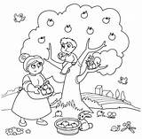Picking Apples Tree Raccoglie Kidspressmagazine Mele Mamma Simili Harvesting sketch template