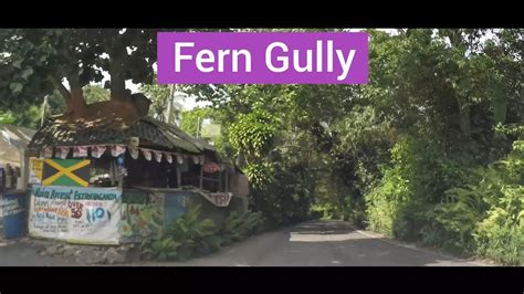 Fern Gully Ocho Rios St Ann Jamaica Youtube