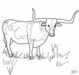 Coloring Longhorn Texas Pages Cattle Steer Drawing Bull Printable Cow Supercoloring Horn Longhorns Color Ferdinand Animal Getdrawings Kids Drawings Skull sketch template