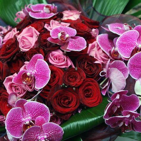 Valentine’s Day Flowers That Say ‘i Love You’ From London Flower Shop