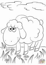 Sheep Lamb Coloring Cordero Supercoloring Lindo Ovejas Colorare sketch template