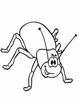 Coloring Pages Insect Beetle sketch template