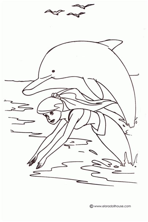 dolphin coloring pages books    printable