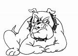 Bulldog Coloring Pages Georgia English Bulldogs American Nederland Printable Havanese Tx Print Getcolorings Color Pag Puppy sketch template