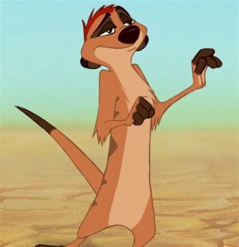 timon   supporting character  disneys  feature film  lion king   protagonist