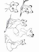 Fox Coloring Hound Printable Mycoloring Cartoon sketch template