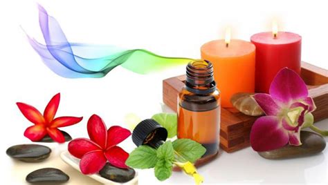 guia de aromaterapia um aroma  cada signo esoterissima