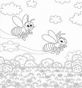 30seconds Wasp Bugs sketch template