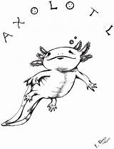 Axolotl Coloring Designlooter 69kb Drawings sketch template