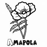 Amapola Amapolas Dibujo Colorea Faciles Figuras Medicinales Imprime Gratis Crmla Guiainfantil Conmishijos sketch template