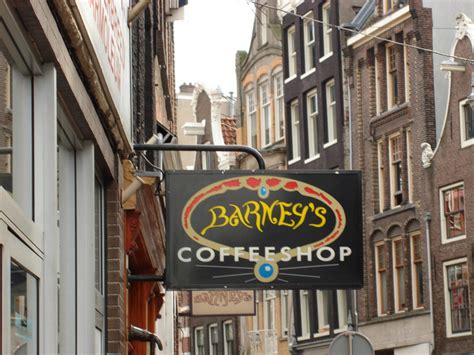 top  coffeeshops  amsterdam    heres  trips  discover