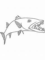 Coloring Pages Barracuda Barracudas Printable Coloring4free Fish Animal 2021 Sheets Sketch Template sketch template