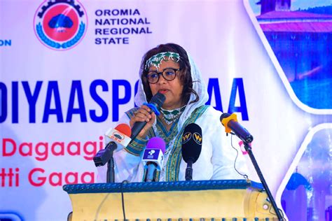 diaspora urged to promote ethiopia s unique place in islam satenaw