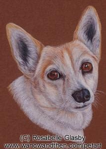 coloured pencil artist rosabelle glasby gallery western australia