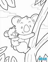 Koala Coloring Pages Colouring Kids Printable Sheets Koalas Template Color Animals sketch template