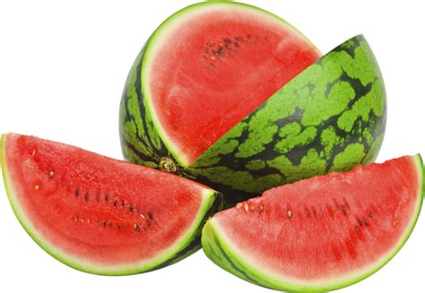 tube fruit pasteque png transparent watermelon clipart