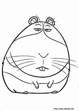 Mascotas Colorir Desenhos Hamster Ausmalbilder Coloriage Snowball Ausdrucken Dibujo Duke Websincloud Betes Secreta Bêtes Secreto Malvorlagen Filme Princesas Visitar sketch template
