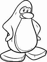 Penguin Cartoon Getdrawings Drawing Coloring sketch template