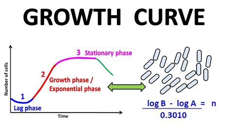 growth curve youtube