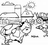 Farm Cow Coloring Coloringcrew sketch template