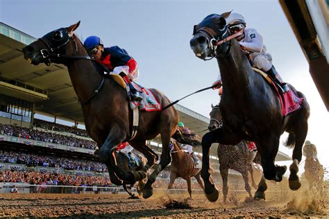 ultimate guide  horse racing betting