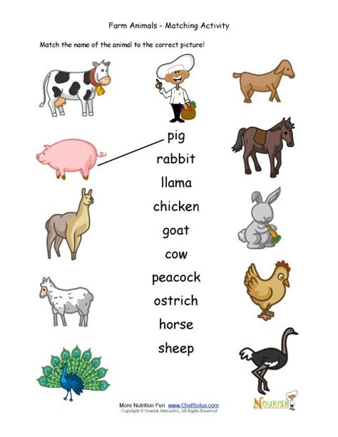 farm animal coloring matching activity page  kids