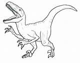 Velociraptor Coloriage Dessin Dinosaure Rugiendo Imprimer sketch template
