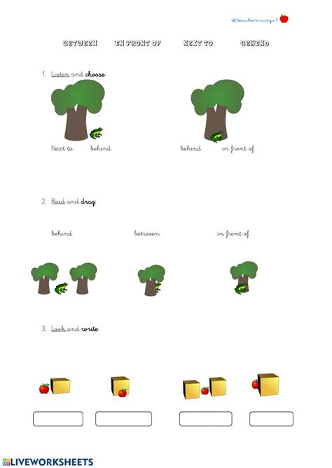 prepositions  place  front      worksheet