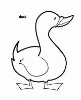 Duck Coloring Pages Kids Ducks Printable Cartoon Cliparts Clipart Bestcoloringpagesforkids Animal Sheets Clip Print Animals Adult Library Valentine Mighty sketch template