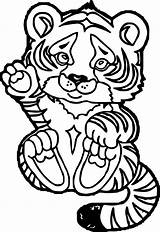 Tiger Coloring Pages Baby Adult Printable Color Getdrawings Print Getcolorings Wecoloringpage Two sketch template