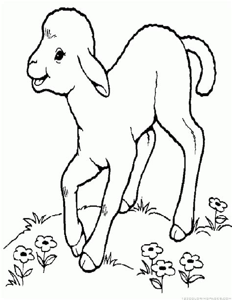 lambs coloring pages part