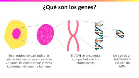 Generación 2006 Richard Anderson Adn Gen Cromosomas