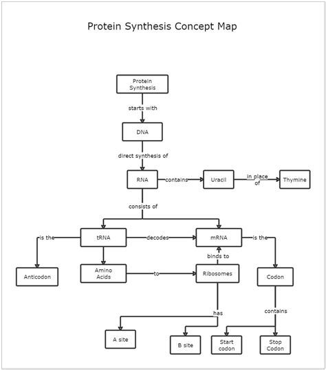 protein synthesis concept map answers map sexiz pix