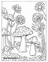 Mushrooms Sheets Mandala Frog Fortuna Ausmalbilder Pilze Erwachsene Getdrawings Getcolorings Pilz Malvorlagen Zenescope Kickstarter Snail Vorlagen Templates Ausmalen Engraving sketch template