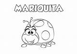 Mariquita Insectos Descarga sketch template