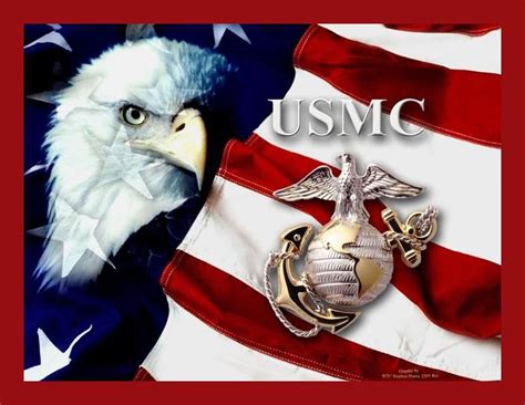 semper fi ~ the motto of the united states marine corps latin for always faithful faithful to