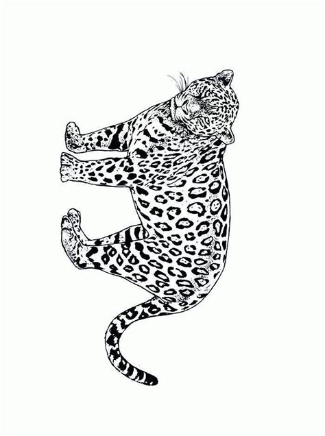 cheetah girl coloring pages