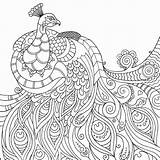 Mindful Paon Coloring4free Bestcoloringpagesforkids Antistress Activities Collegesportsmatchups Pavo Colourin sketch template