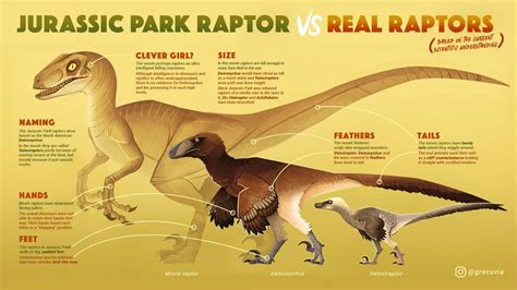 awesome guide  velociraptor  deinonychus