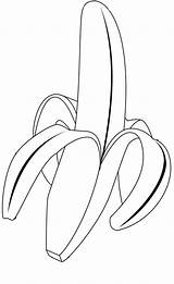 Banana Coloring Pages Color Drawing Tree Print Kids Fruits Leaf Tropical Delicious Vegetable Printable Fruit Kidsplaycolor Peeled Peel Getdrawings Getcolorings sketch template